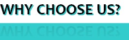 WHY CHOOSE US?