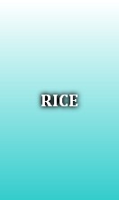 RICE
